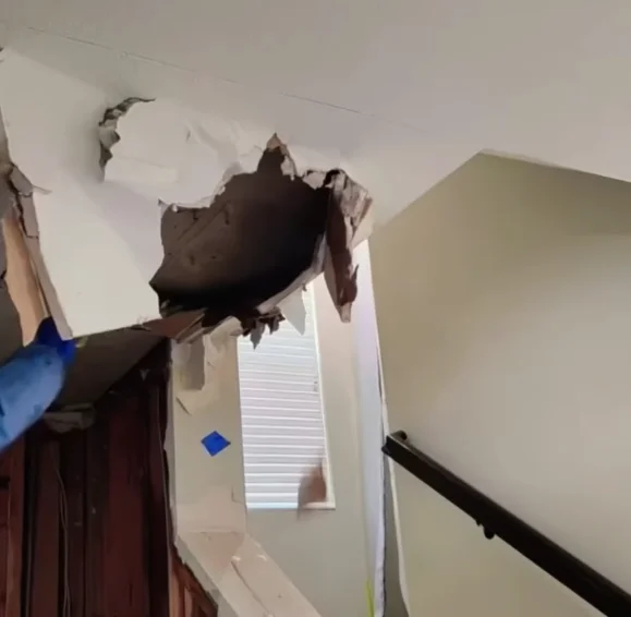 water damage restoration in orlando emergency extraction technician removing standing water