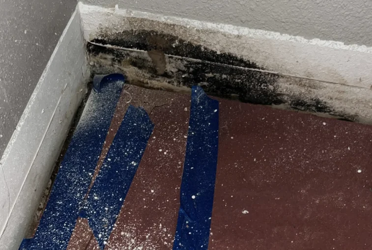 orlando water damage mold stains on wall from long-term moisture exposure