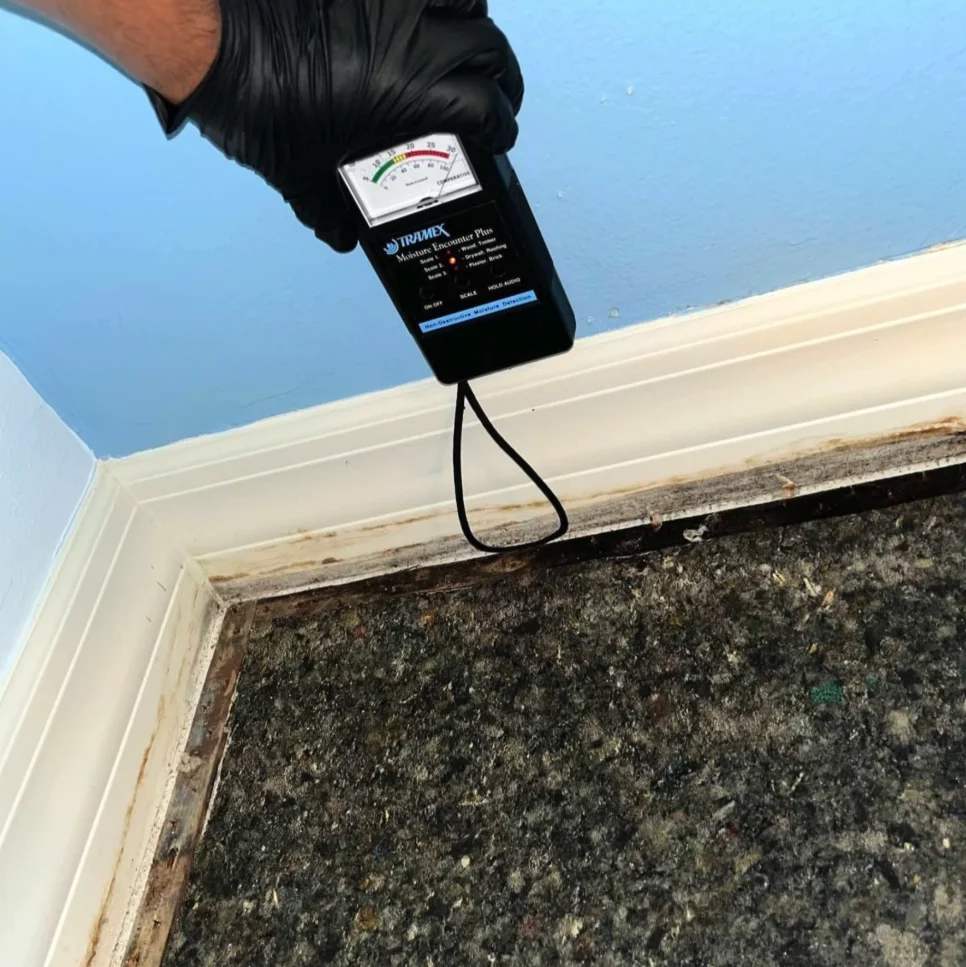 water damage restoration orlando mold remediation technician applying antimicrobial treatment