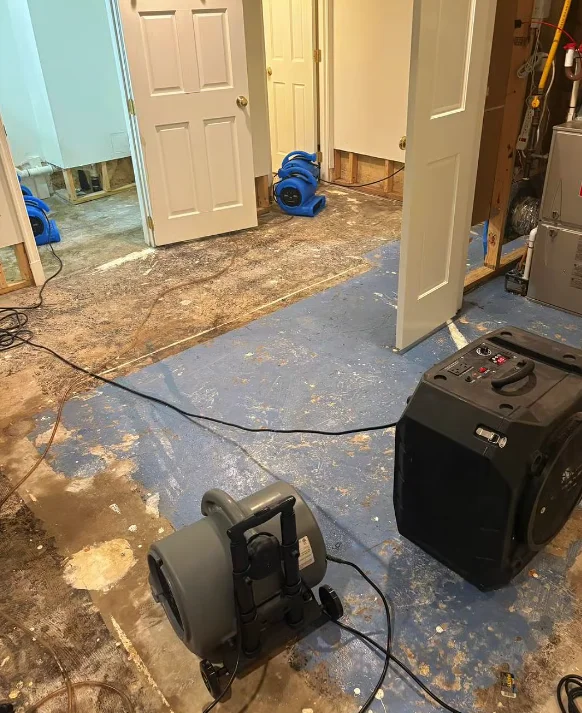water mitigation orlando professional assessment technician documenting water damage for insurance claim