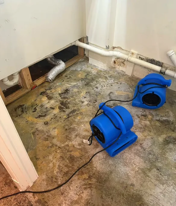 water damage restoration orlando hardwood floor drying specialized equipment directed heat technique