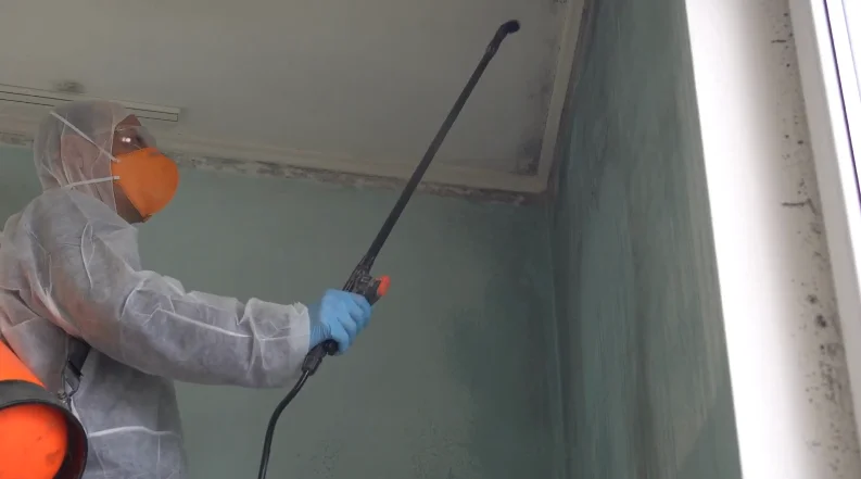 water damage cleanup orlando wall cleaning restoration professional service