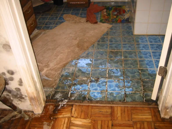 water extraction orlando slab leak floor water pooling restoration