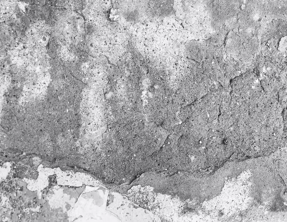 water restoration orlando soft wall moisture damage requiring immediate professional treatment